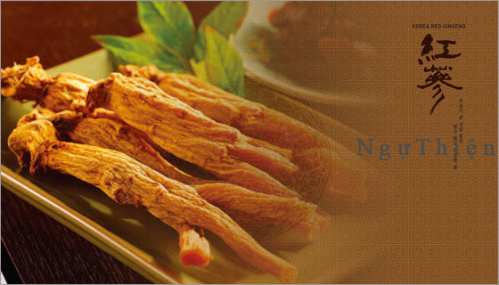 hồng sam hàn quốc