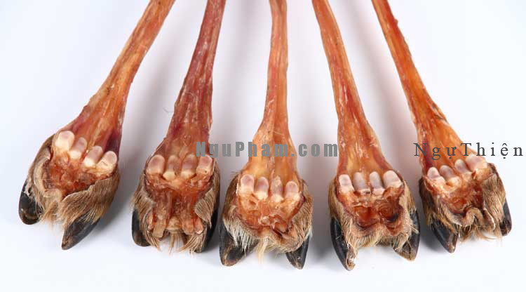 gân nai khô loại a1
